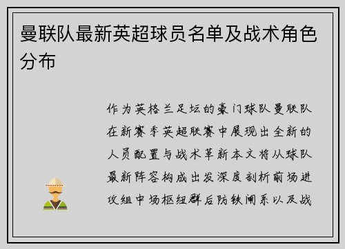 曼联队最新英超球员名单及战术角色分布