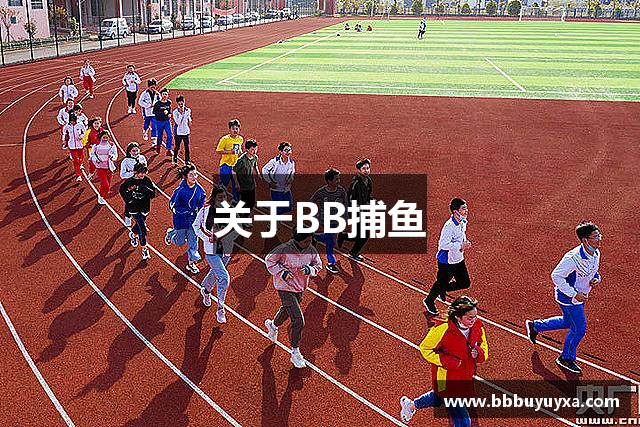 关于BB捕鱼